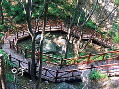 -大岭沟猕猴桃谷风景区