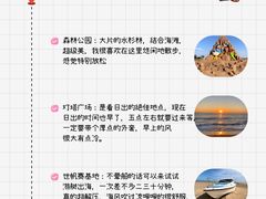 -日照海滨国家森林公园