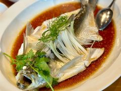 钱湖四宝-朋鱼-宁波柏悦酒店·钱湖渔港
