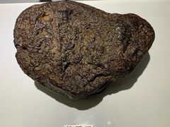 -浙江省科技馆