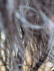 -髻尚坊增发补发织发假发定制