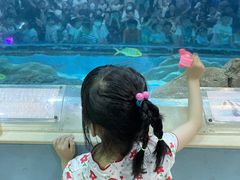 -苏州海洋馆