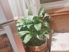 -西贝(六里桥旗舰店)