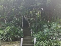-龙头寺公园