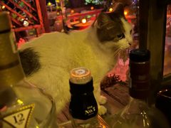 -城墙外BAR