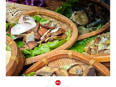 -滇野云南野生菌餐厅(陕西南路店)