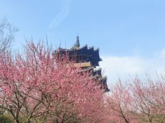 -杭州半山国家森林公园