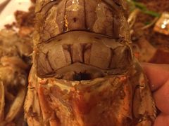 -桥底辣蟹(谢斐道店)