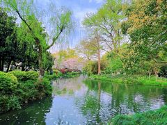 -湖畔居茶楼(湖滨店)