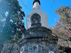 -大觉寺-停车场