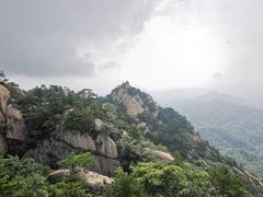 -六里坪国家森林公园