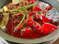 -黄潇洒老火锅(九眼桥宏济巷店)