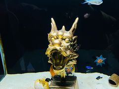-重庆欢乐海底世界