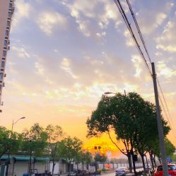 -浙江大学医学院附属妇产科医院(湖滨院区)