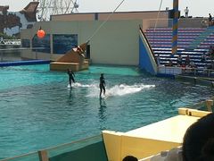 -秦皇岛乐岛海洋王国