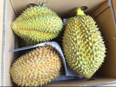 -万龙洲海鲜(大兴绿地缤纷城店)