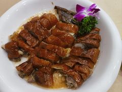 -美景家宴