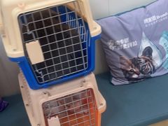 -美联众合动物医院·24h京西诊疗中心
