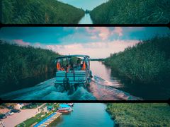 -白洋淀景区