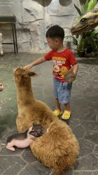 -Zoolung Zoolung动物主题公园(海信广场店)