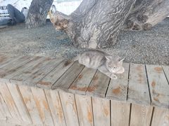 -库伦旗银沙湾旅游景区