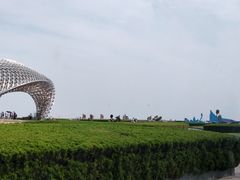 -南汇嘴观海公园