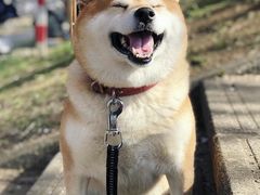 -九州酒场ひこぞう(1号店)