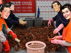 -阿财老铺·老蚌埠龙虾城(华夏总店)