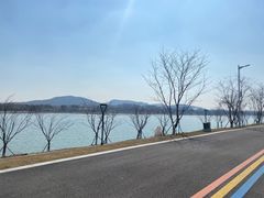 -羊山湖公园