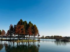-贡湖湾湿地公园