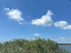 -白洋淀景区