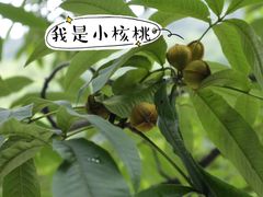 -太湖源风景区
