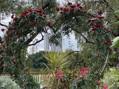 -人民公园(罗湖区)