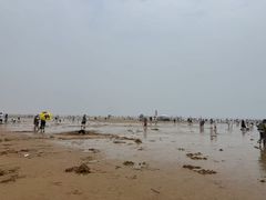 -日照海滨国家森林公园