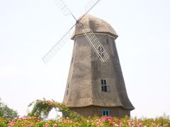 -都江堰玫瑰花溪谷