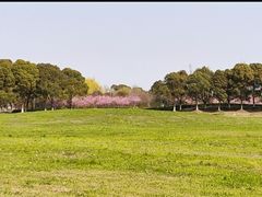 -阳澄湖半岛旅游度假区