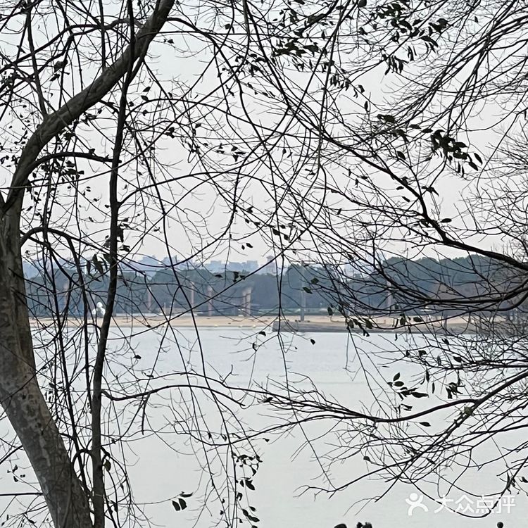 浪漫的冬日郊游地