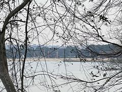 -上海月湖雕塑公园