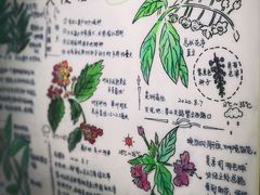 -上海昆虫博物馆