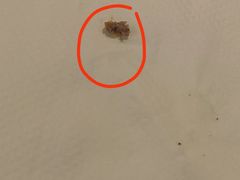 -麦当劳(廉江大道店)