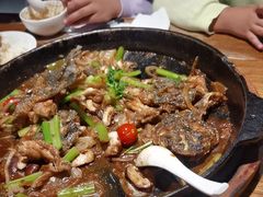 -老板恋上鱼(高新万达店)