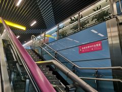 -大龙山(地铁站)