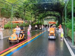 -深圳野生动物园