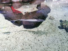 -鸿通城购物中心