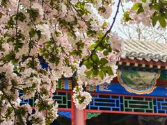 -隆兴寺