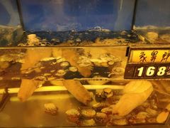 -渔中舟海鲜大排档(普陀沈家门店)