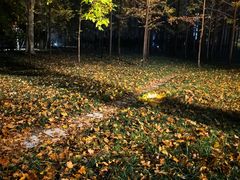 -河南省黄河迎宾馆