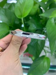 -夸克珠宝设计工作室