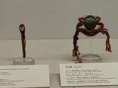 -巴音郭楞蒙古自治州博物馆