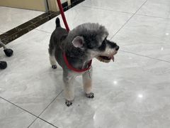 -安安宠医宠物医院·异宠·犬猫内科(岳阳分院)